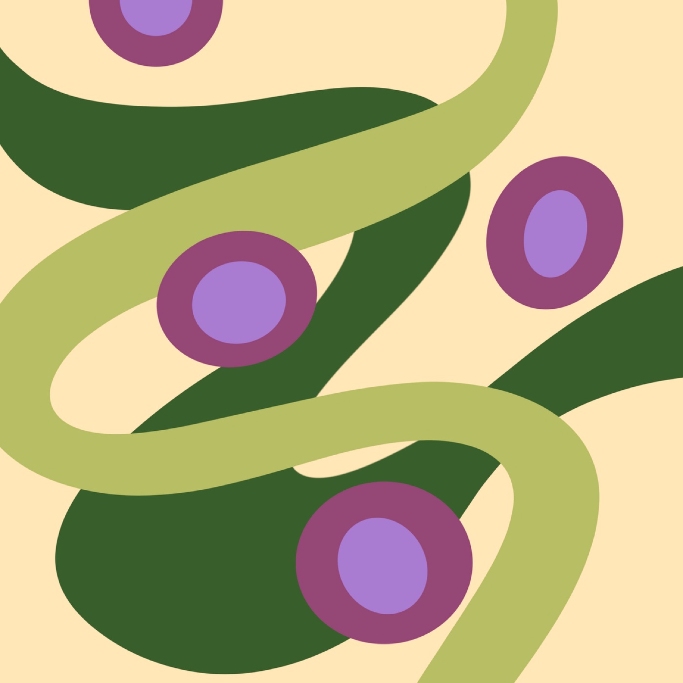 Lambrusque par Noa Regerat — motif de carreau de ciment