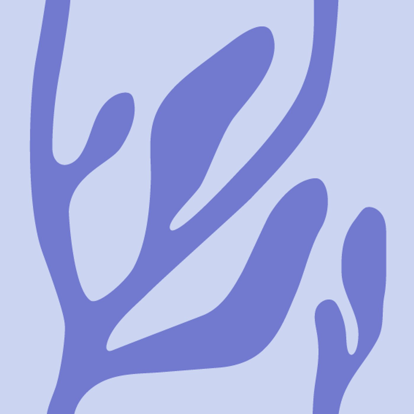 Alga par Flore Avram — motif de carreau de ciment