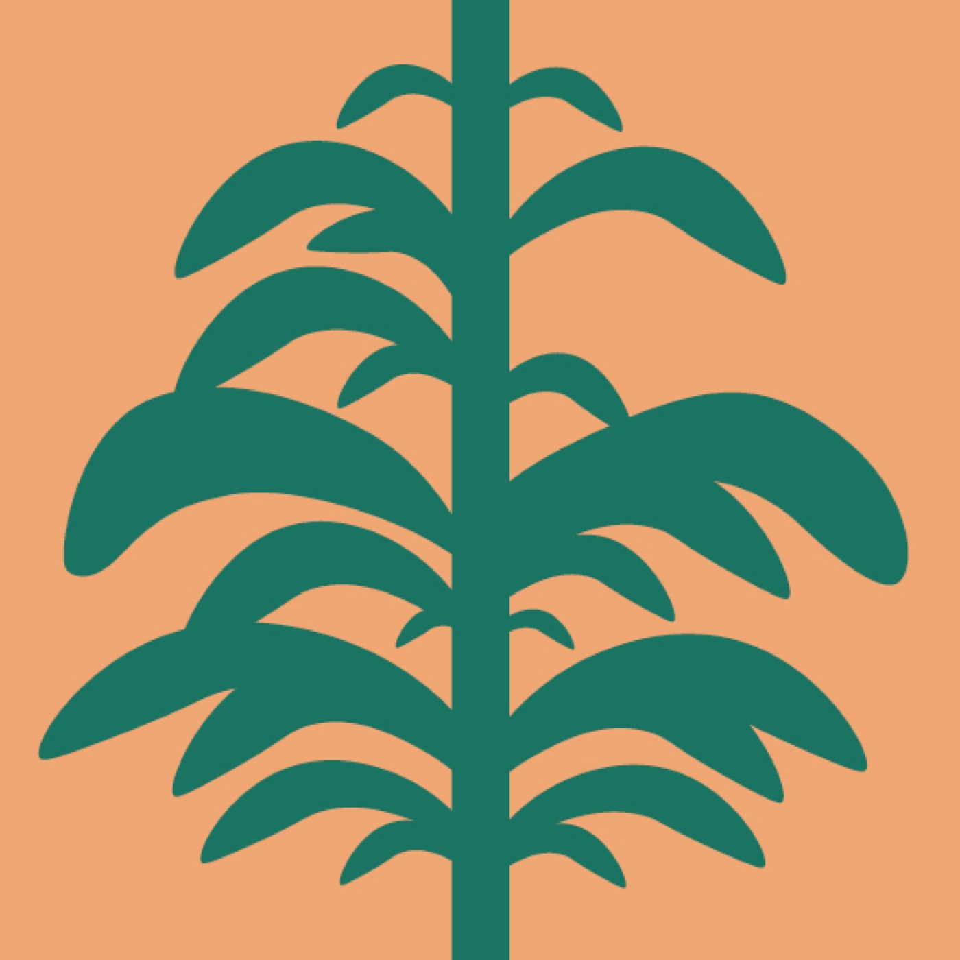 ECLOSION par Laura MAUGUERET — motif de carreau de ciment