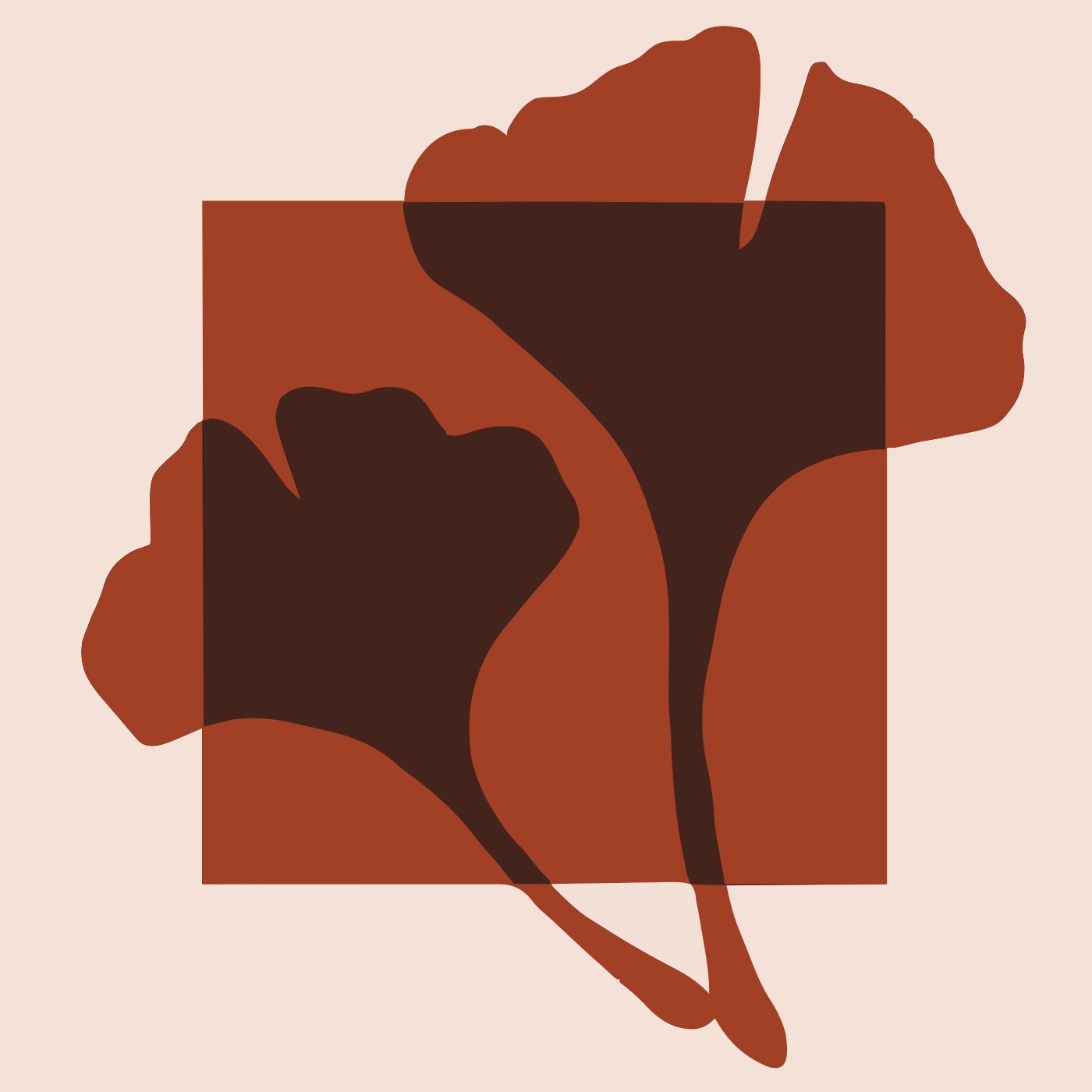 Parfum d’automne par Maelys Le Breton — motif de carreau de ciment