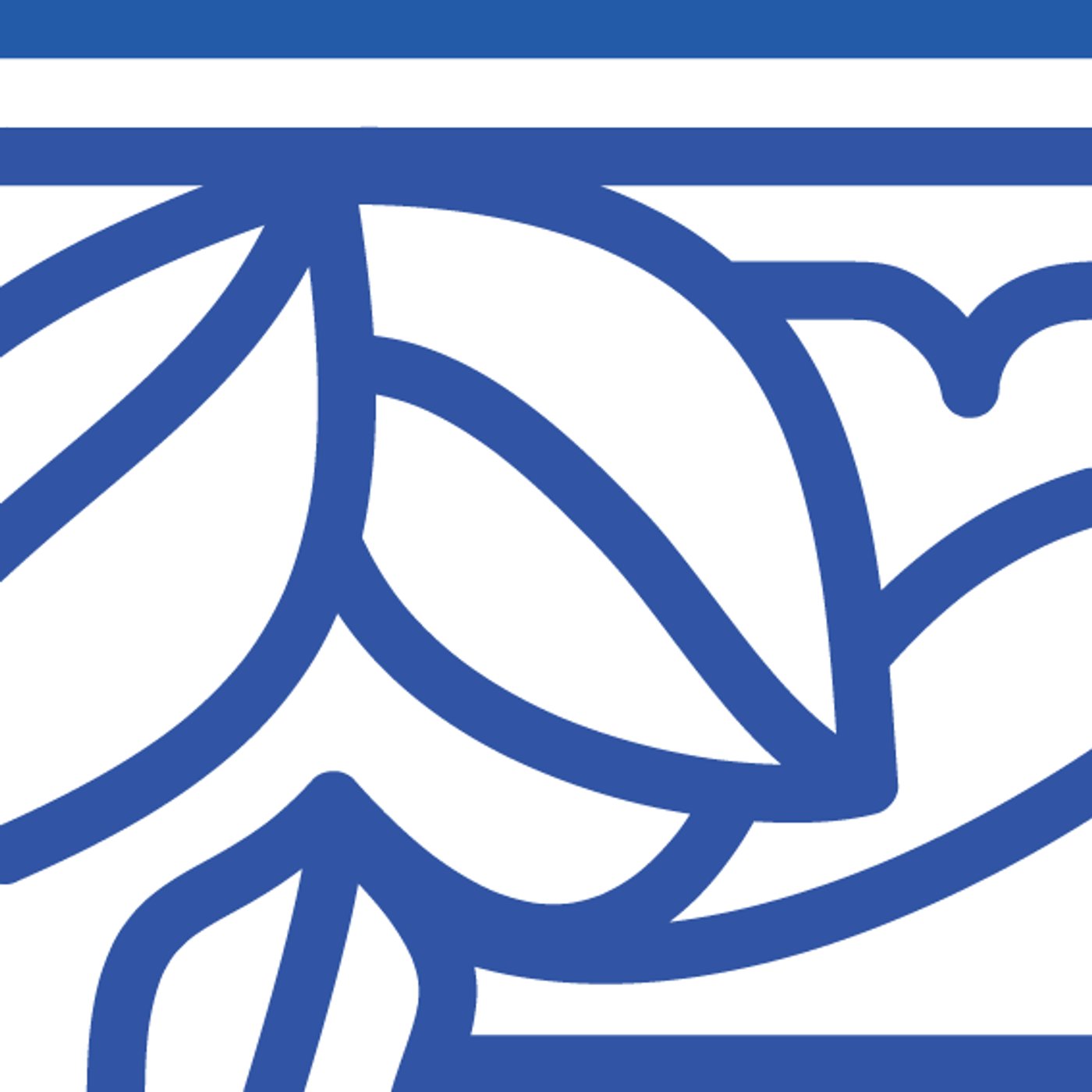 Jardin d’Azur par Léa Georgelin — motif de carreau de ciment
