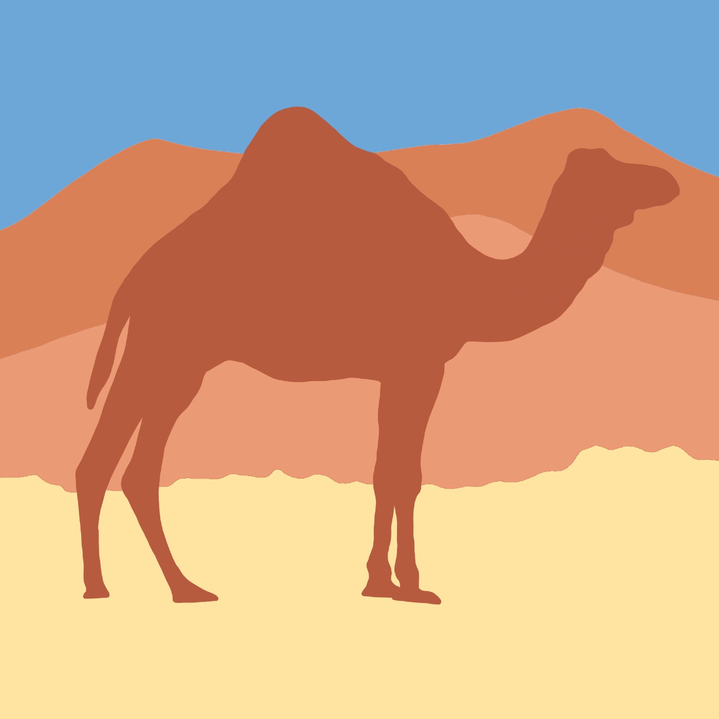Magreb par Malik Aissa-Mamoune — motif de carreau de ciment