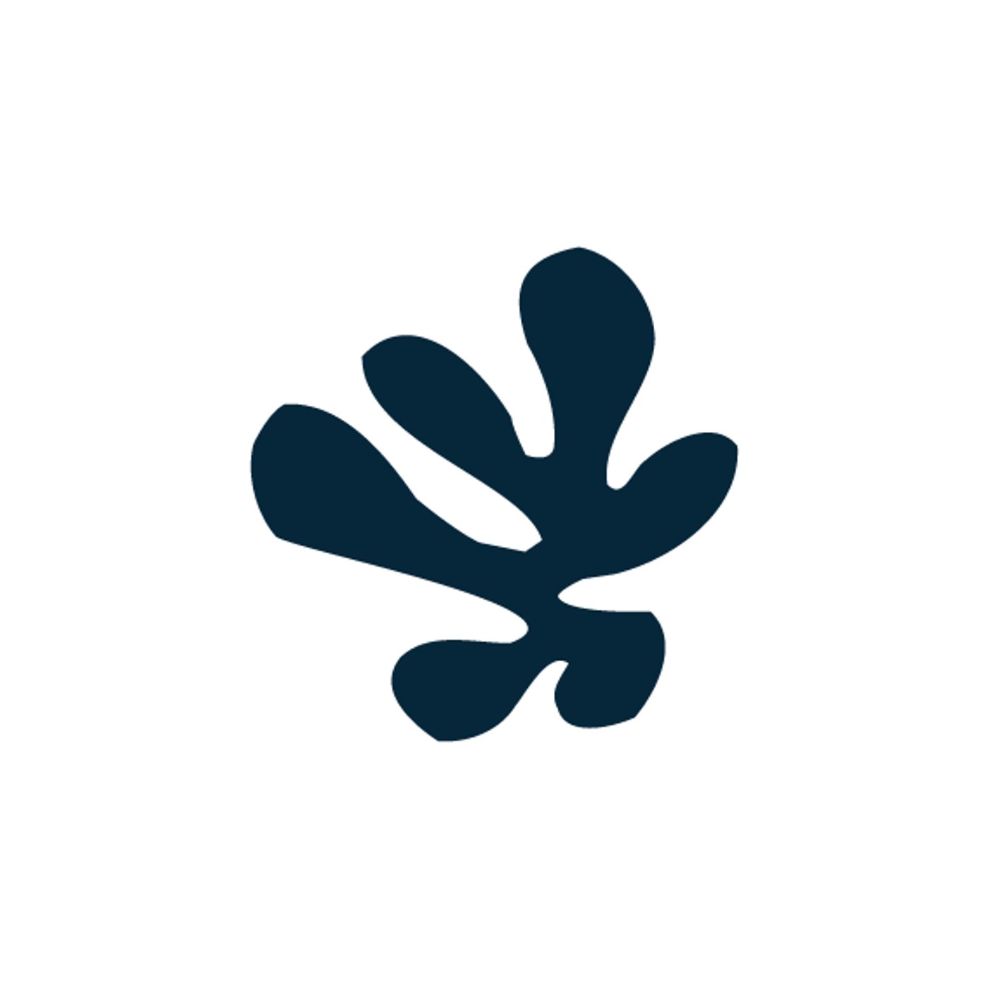 Matisse par Marine Dassac — motif de carreau de ciment