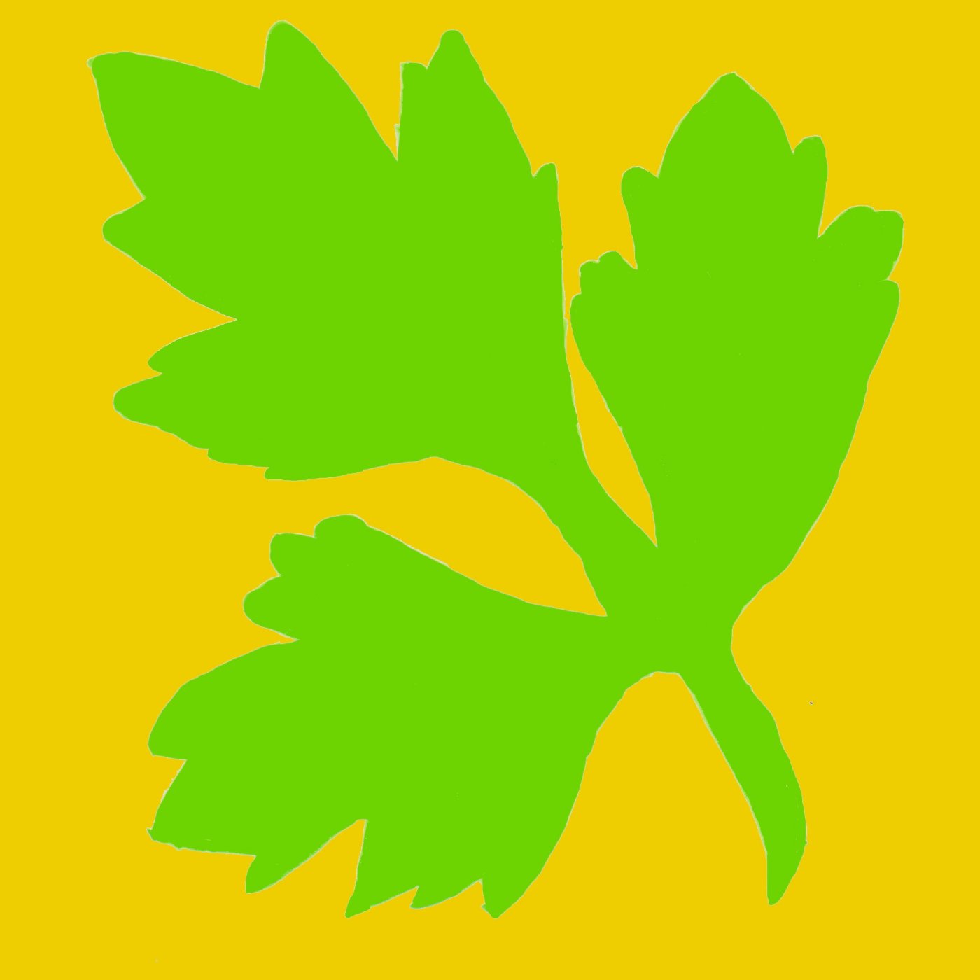 Persil par Geneviève FARGUES — motif de carreau de ciment