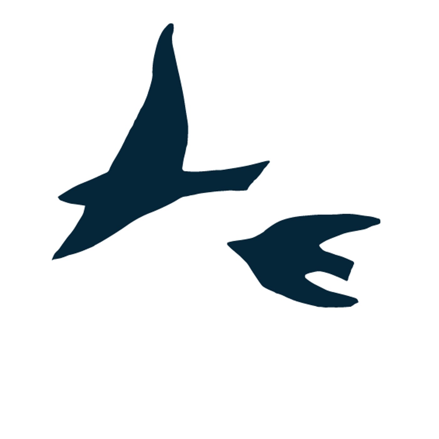 Murmuration par Camille Cerna — motif de carreau de ciment