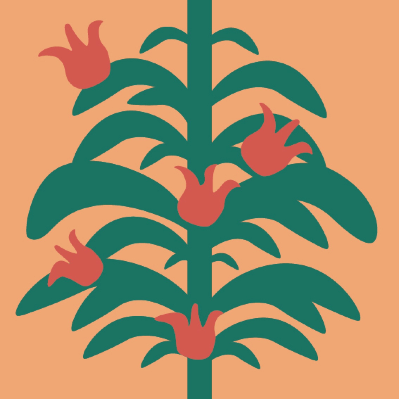 FLORAISON par laura MAUGUERET — motif de carreau de ciment