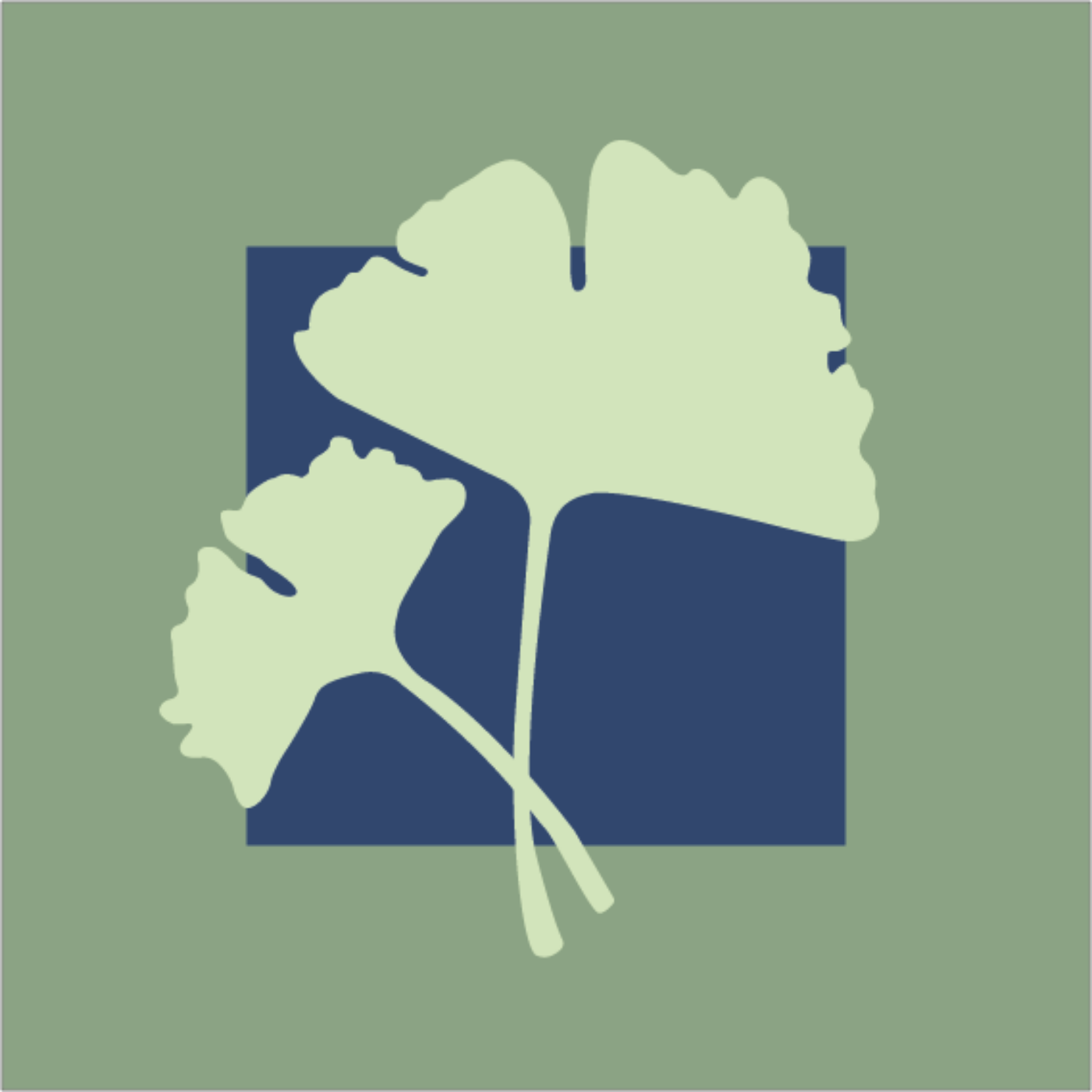 Gingko par Juliette Oudry — motif de carreau de ciment